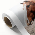 Farmhouse Wall Art - Majestic Horse Portrait Rustic Country Style Decor