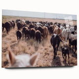 Cattle Herd on the Move Farmhouse Wall Art – Rustic Country Decor Print