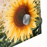 Farmhouse Wall Art: Sunflowers in Bloom - Rustic Country Style Decor Print