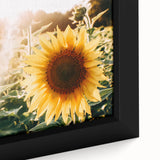 Farmhouse Wall Art: Sunflowers in Bloom - Rustic Country Style Decor Print