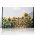 Farmhouse Wall Art: Sunflowers in Summer - Rustic Country Style Decor