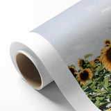 Farmhouse Wall Art: Sunflowers in Summer - Rustic Country Style Decor