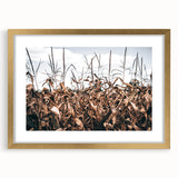 Farmhouse Wall Art: Autumn Corn Stalks - Rustic Country Style Decor Print