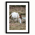 Rustic Country Horses - Farmhouse Style Wall Art for Country Living Decor