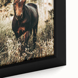 Majestic Horse in Nature - Rustic Farmhouse Wall Art for Country Homes