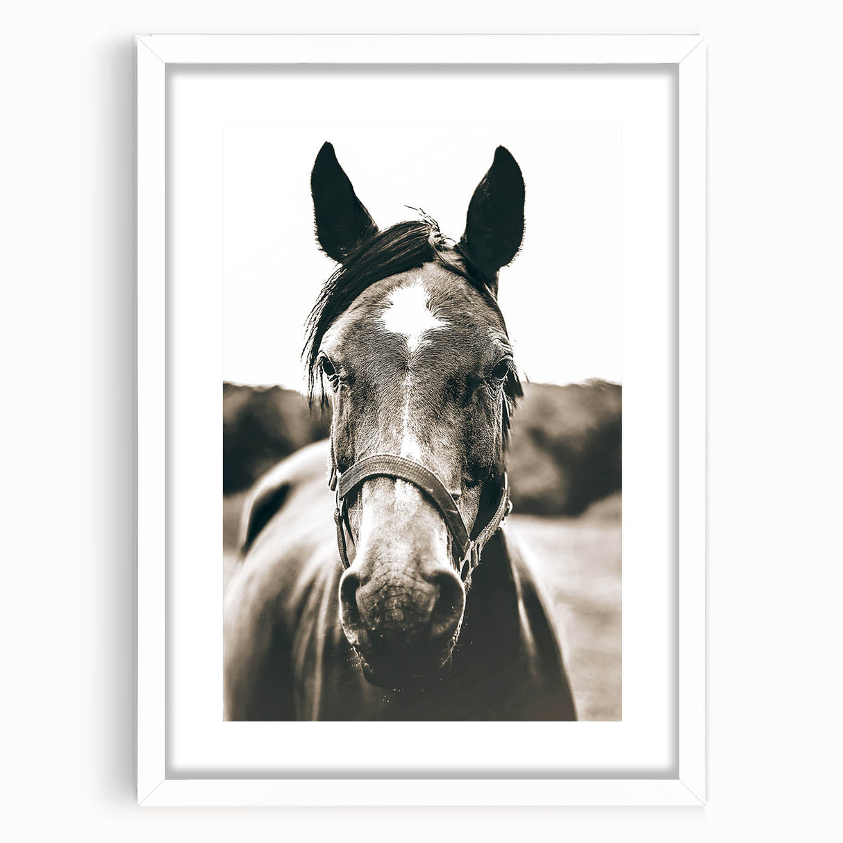 Gentle Horse Portrait - Rustic Farmhouse Wall Art for Country Decor