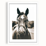 Gentle Horse Portrait - Rustic Farmhouse Wall Art for Country Decor