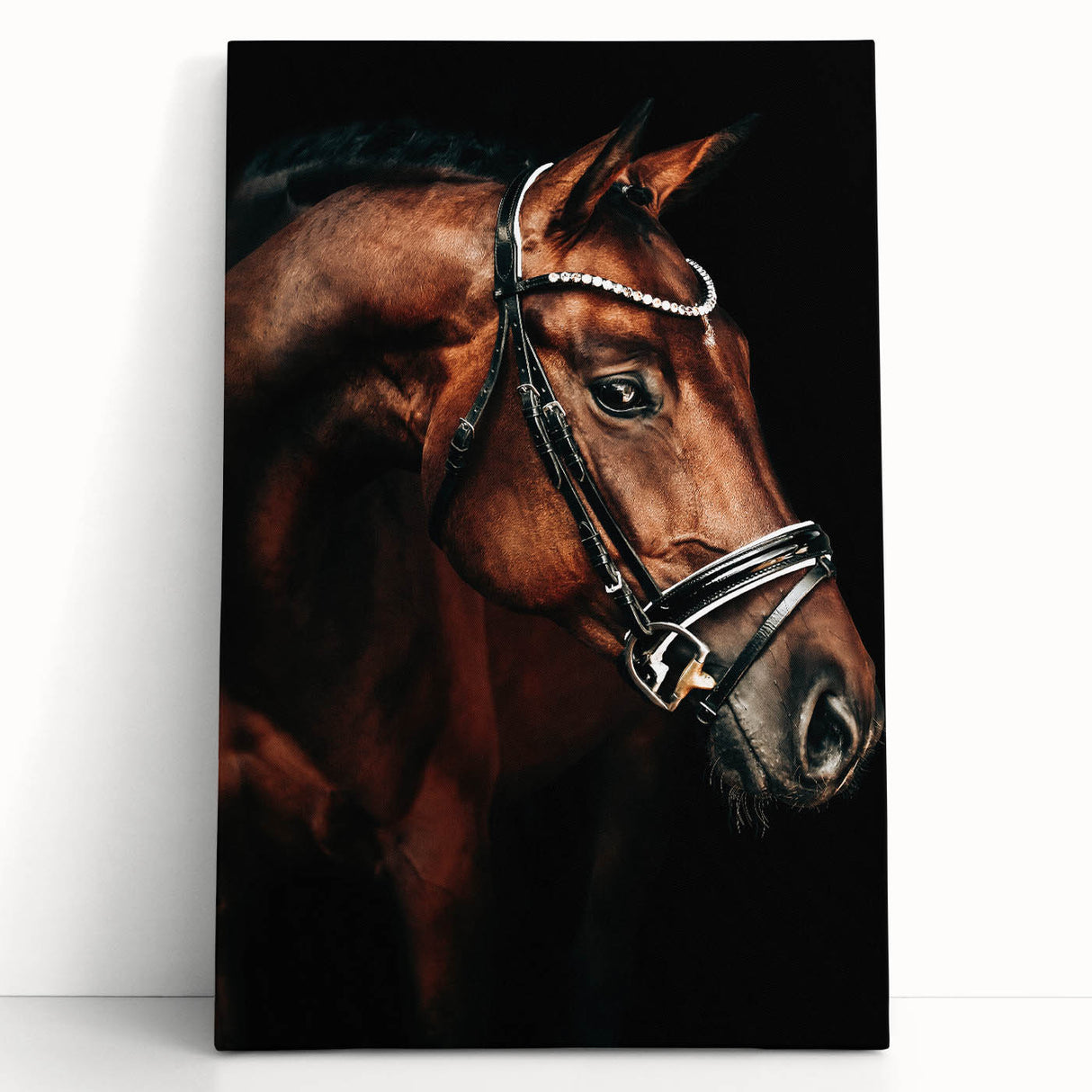 Elegant Horse Portrait - Rustic Farmhouse Wall Art for Country Decor