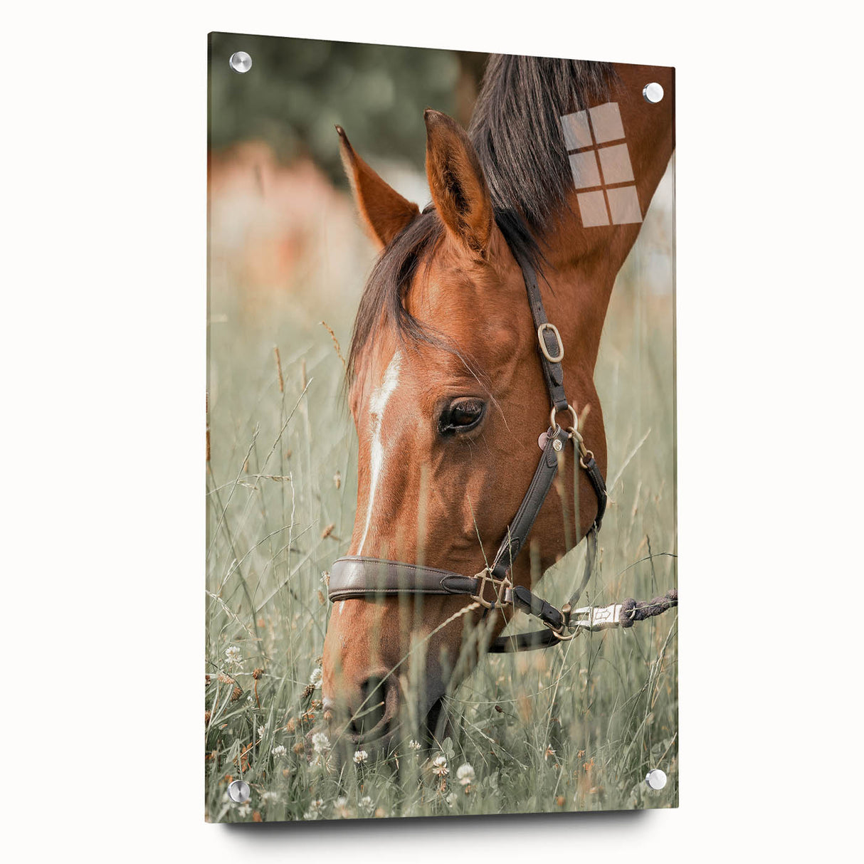 Farmhouse Horse Grazing Wall Art - Rustic Country Style Farmhouse Decor
