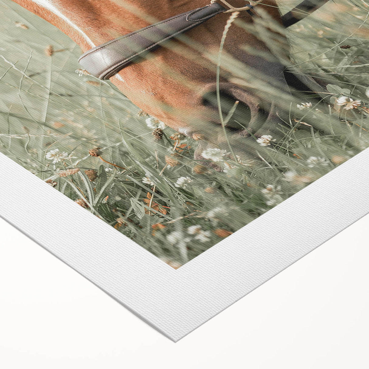 Farmhouse Horse Grazing Wall Art - Rustic Country Style Farmhouse Decor