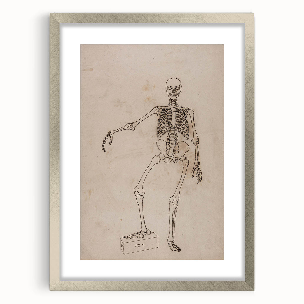 Gothic Wall Art | Skeleton Illustration | Dark Decor Style