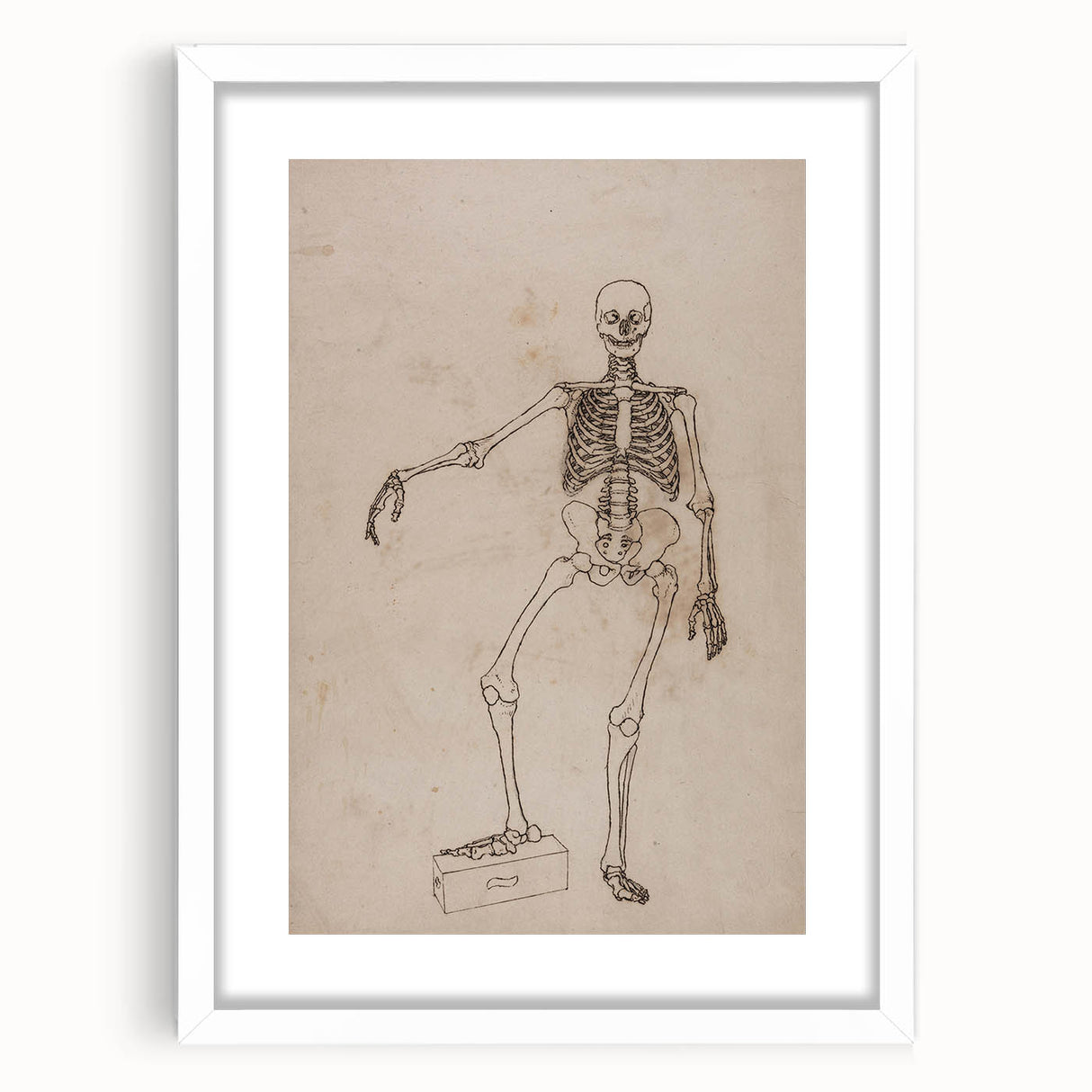 Gothic Wall Art | Skeleton Illustration | Dark Decor Style