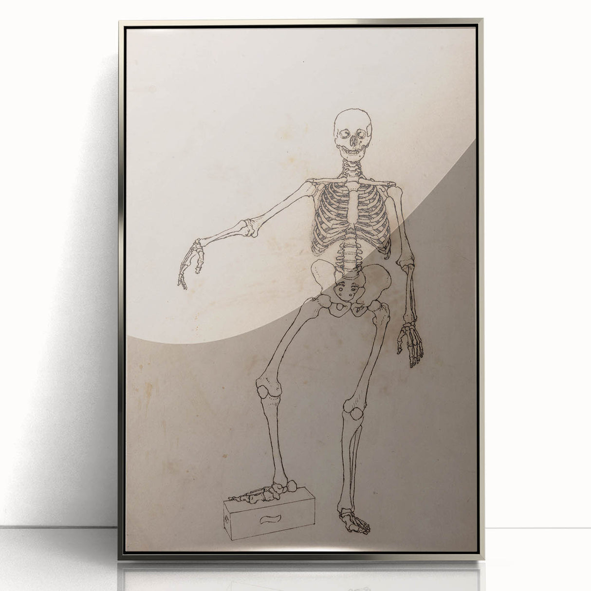 Gothic Wall Art | Skeleton Illustration | Dark Decor Style