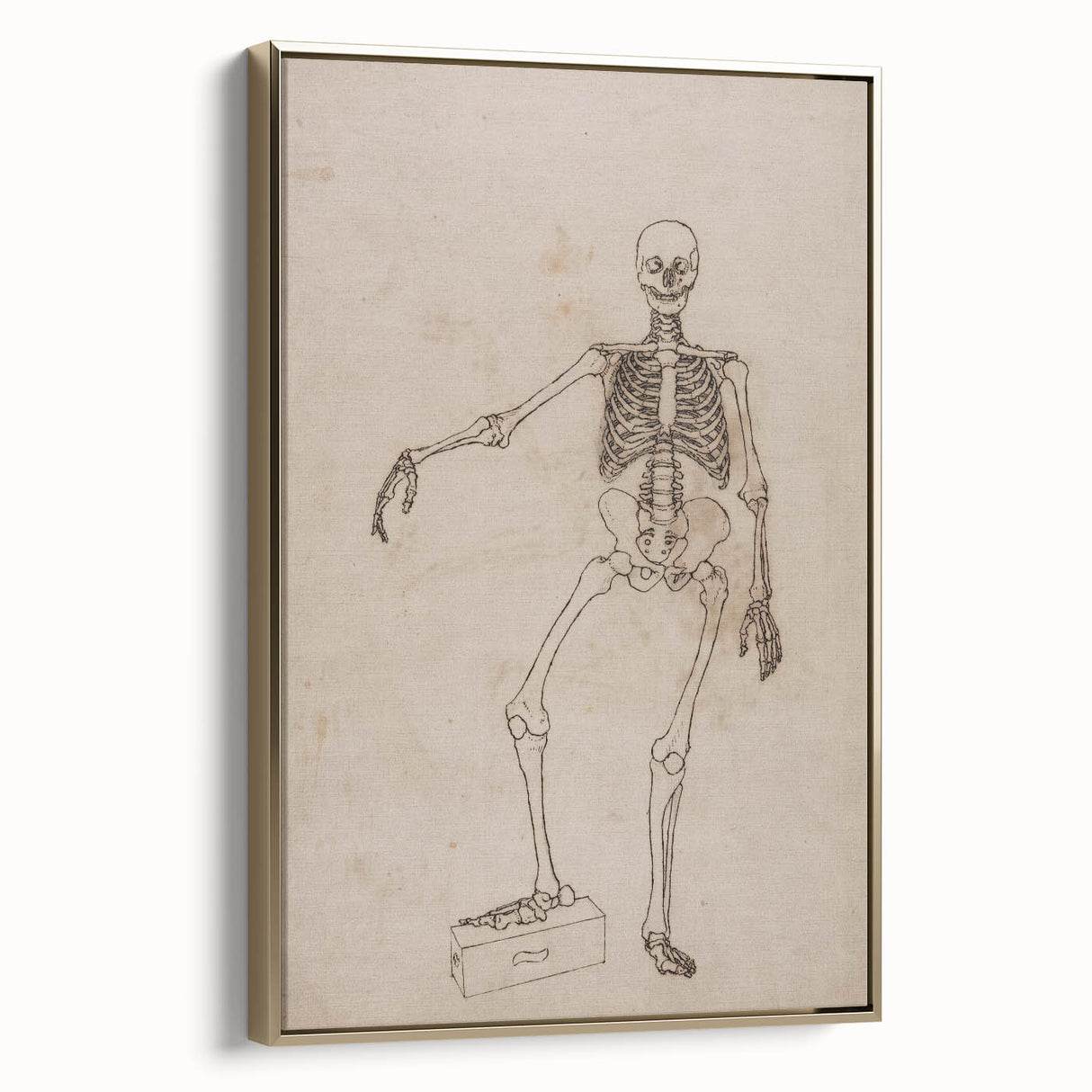 Gothic Wall Art | Skeleton Illustration | Dark Decor Style