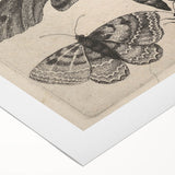 Vintage Gothic Insect Art - Moths and Butterflies Gothic Wall Print