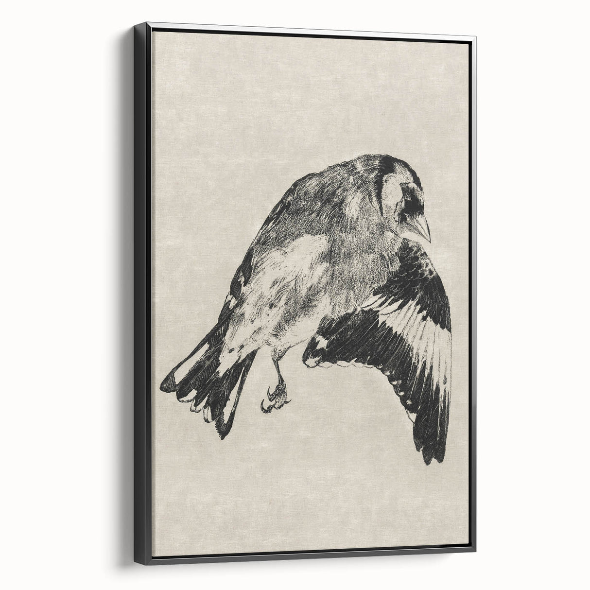 Gothic Bird Illustration – Dark and Elegant Gothic Wall Art Canvas Print