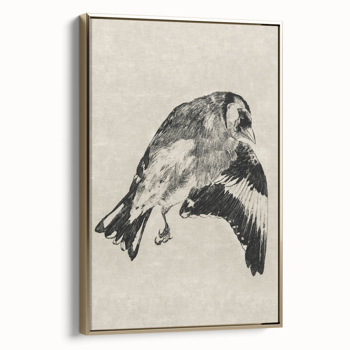 Gothic Bird Illustration – Dark and Elegant Gothic Wall Art Canvas Print