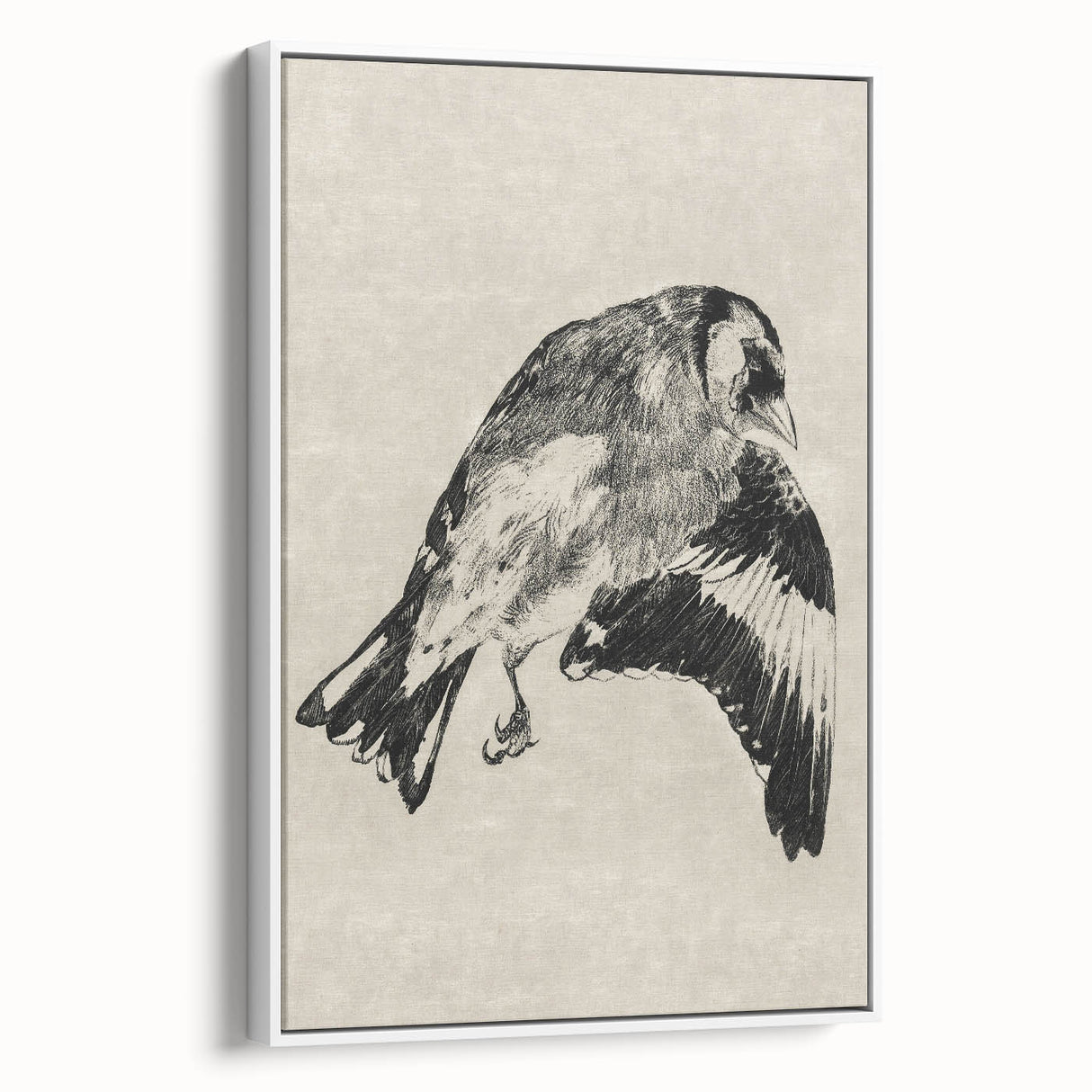 Gothic Bird Illustration – Dark and Elegant Gothic Wall Art Canvas Print