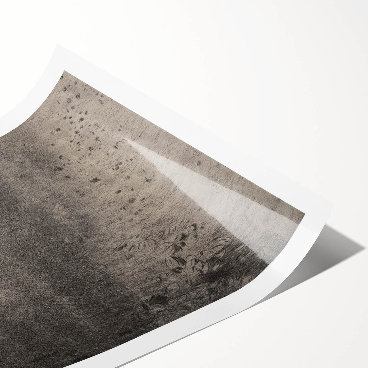 Vintage Gothic Print - Mysterious Night Sky | Gothic Wall Art Canvas