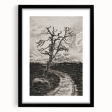 Medieval Gothic Canvas - Mysterious Path Dark Decor Style Art