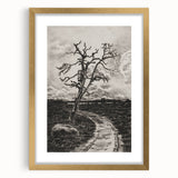 Medieval Gothic Canvas - Mysterious Path Dark Decor Style Art