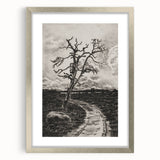 Medieval Gothic Canvas - Mysterious Path Dark Decor Style Art