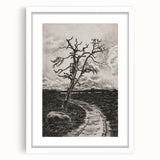 Medieval Gothic Canvas - Mysterious Path Dark Decor Style Art