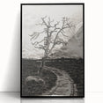 Medieval Gothic Canvas - Mysterious Path Dark Decor Style Art