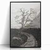 Medieval Gothic Canvas - Mysterious Path Dark Decor Style Art
