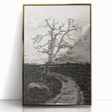 Medieval Gothic Canvas - Mysterious Path Dark Decor Style Art