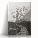 Medieval Gothic Canvas - Mysterious Path Dark Decor Style Art