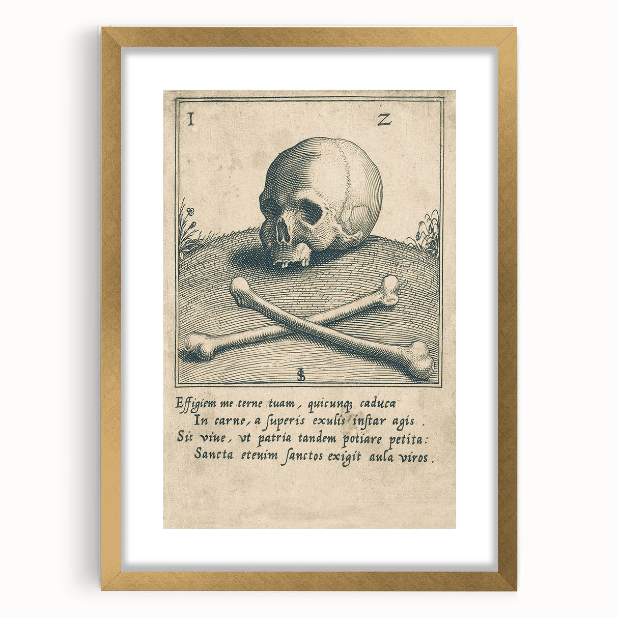 Vintage Gothic Prints - Skull and Crossbones Medieval Gothic Canvas Art