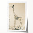 Medieval Gothic Canvas - Giraffe Skeleton Illustration Gothic Wall Art