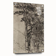 Forest Silhouette Etching - Mysterious Gothic Nature Wall Art Decor