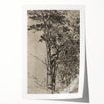 Forest Silhouette Etching - Mysterious Gothic Nature Wall Art Decor