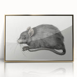 Gothic Wall Art - Vintage Mouse Illustration on Medieval Gothic Canvas