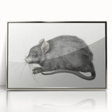 Gothic Wall Art - Vintage Mouse Illustration on Medieval Gothic Canvas