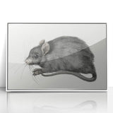 Gothic Wall Art - Vintage Mouse Illustration on Medieval Gothic Canvas