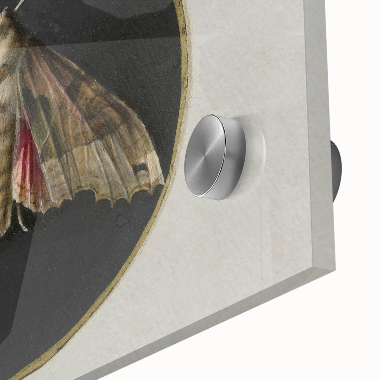 Grunge Aesthetic Art - Moth Canvas Print for Urban Grunge Decor