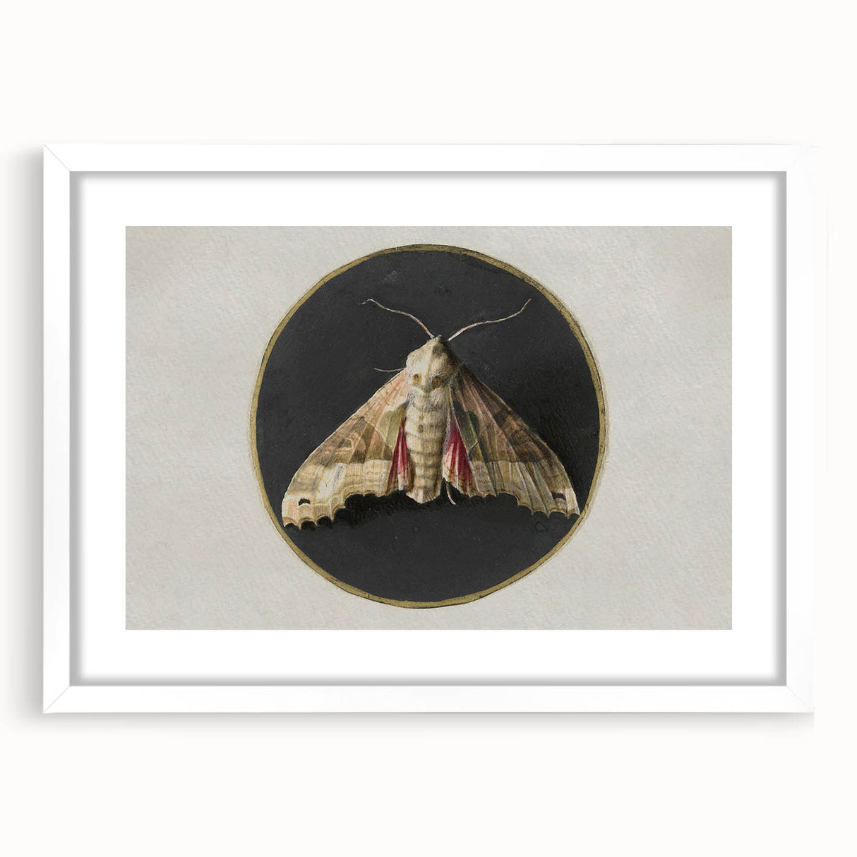 Grunge Aesthetic Art - Moth Canvas Print for Urban Grunge Decor