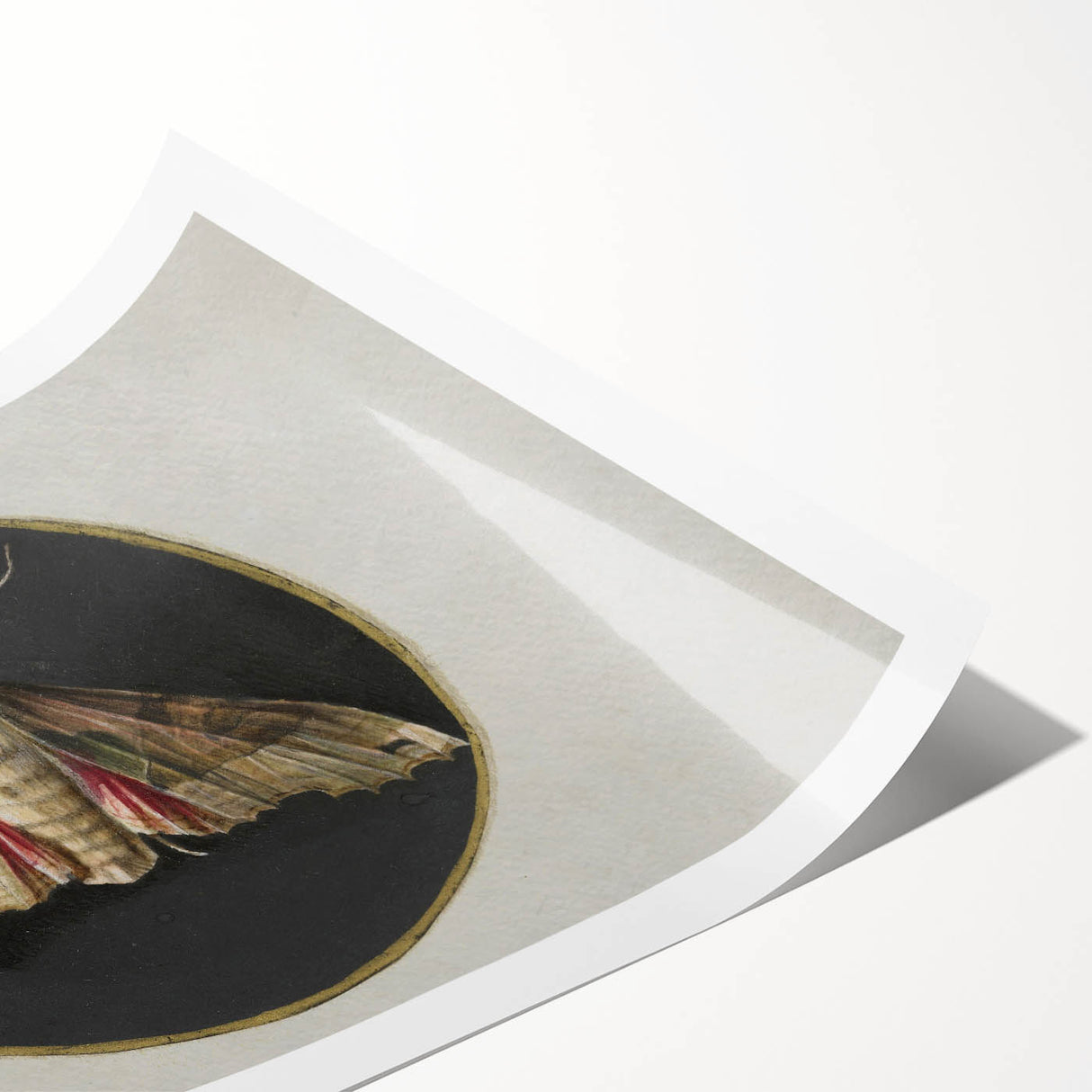 Grunge Aesthetic Art - Moth Canvas Print for Urban Grunge Decor