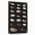 Vintage Grunge Art | Grunge Canvas Print | Urban Grunge Shell Art
