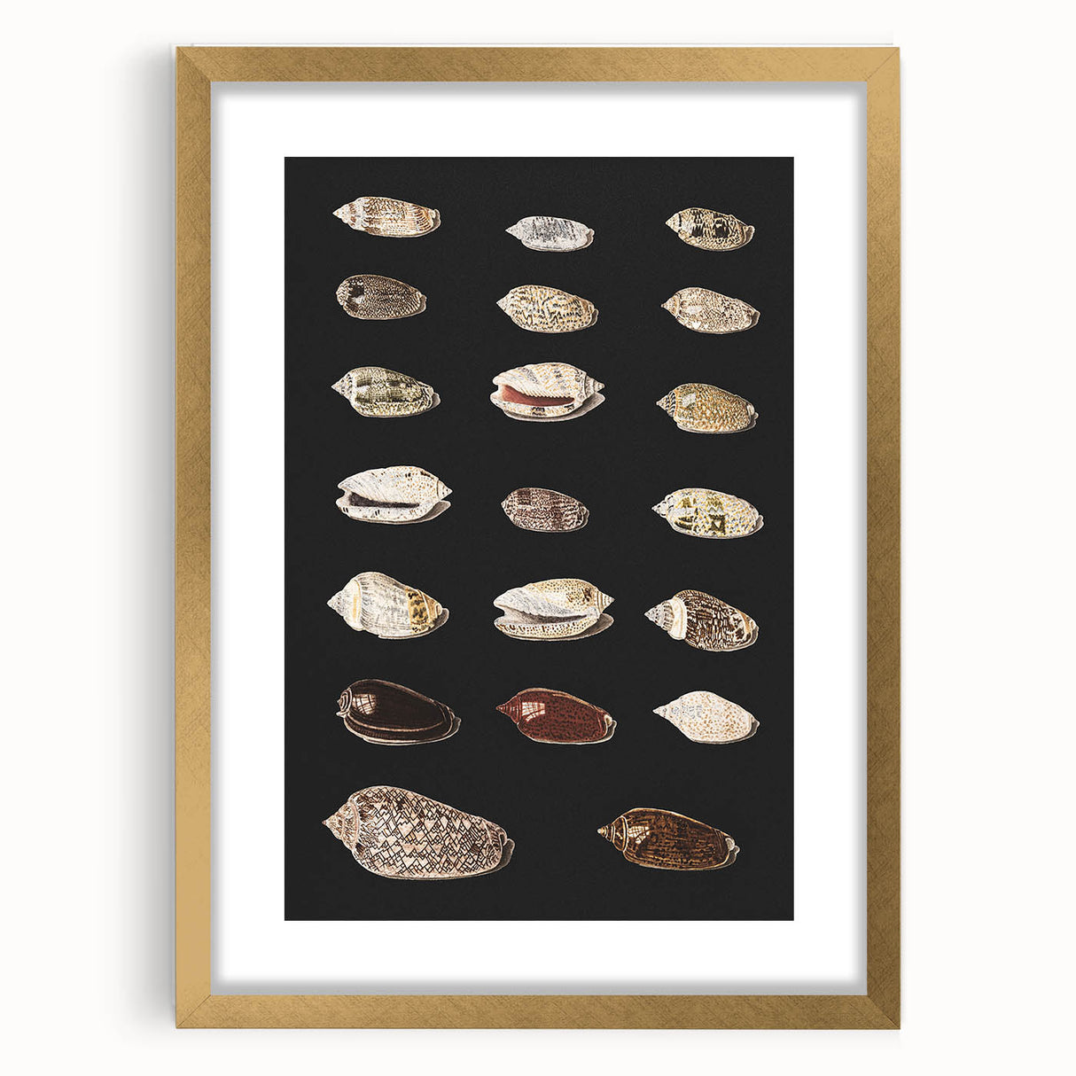 Vintage Grunge Art | Grunge Canvas Print | Urban Grunge Shell Art