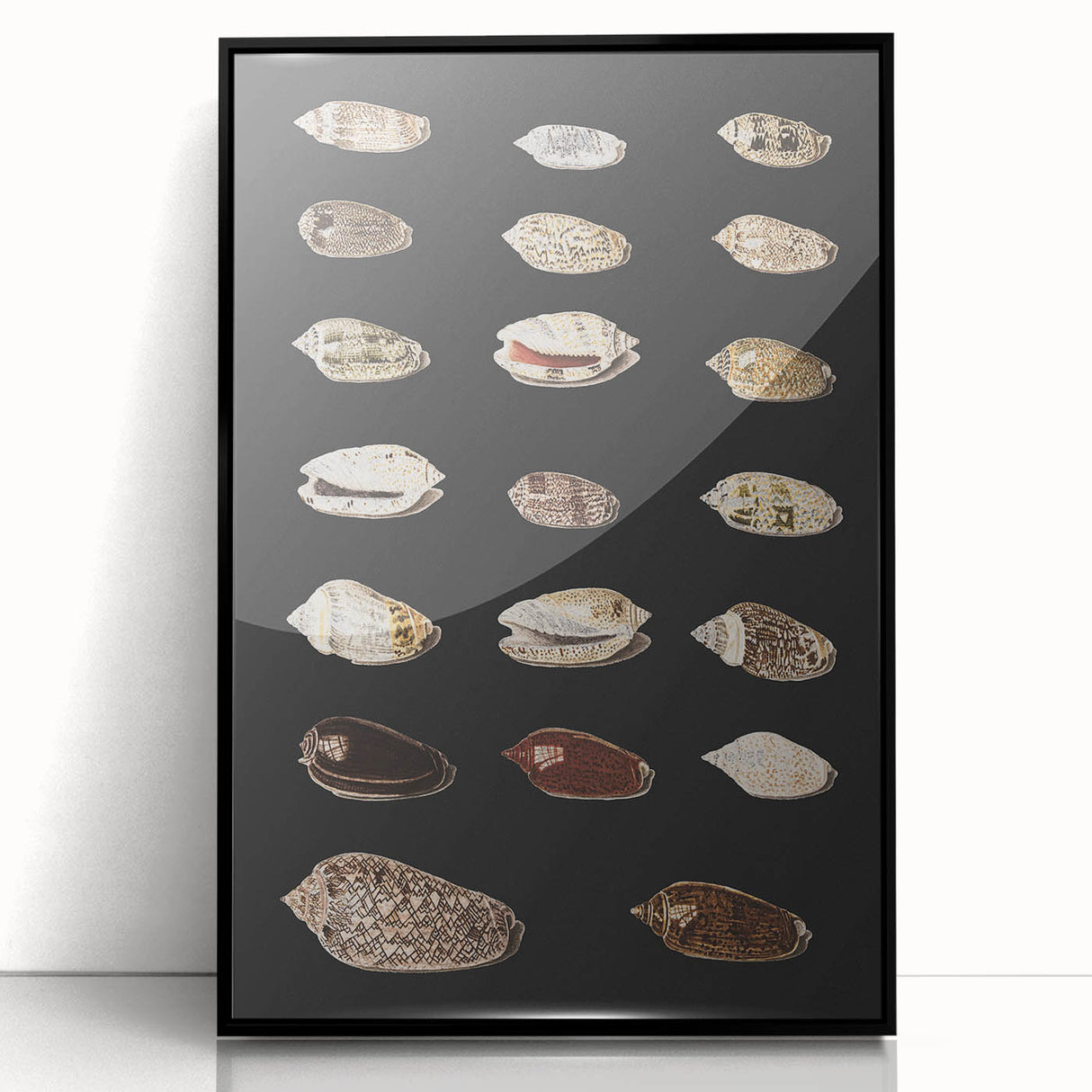 Vintage Grunge Art | Grunge Canvas Print | Urban Grunge Shell Art