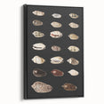 Vintage Grunge Art | Grunge Canvas Print | Urban Grunge Shell Art