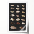 Vintage Grunge Art | Grunge Canvas Print | Urban Grunge Shell Art
