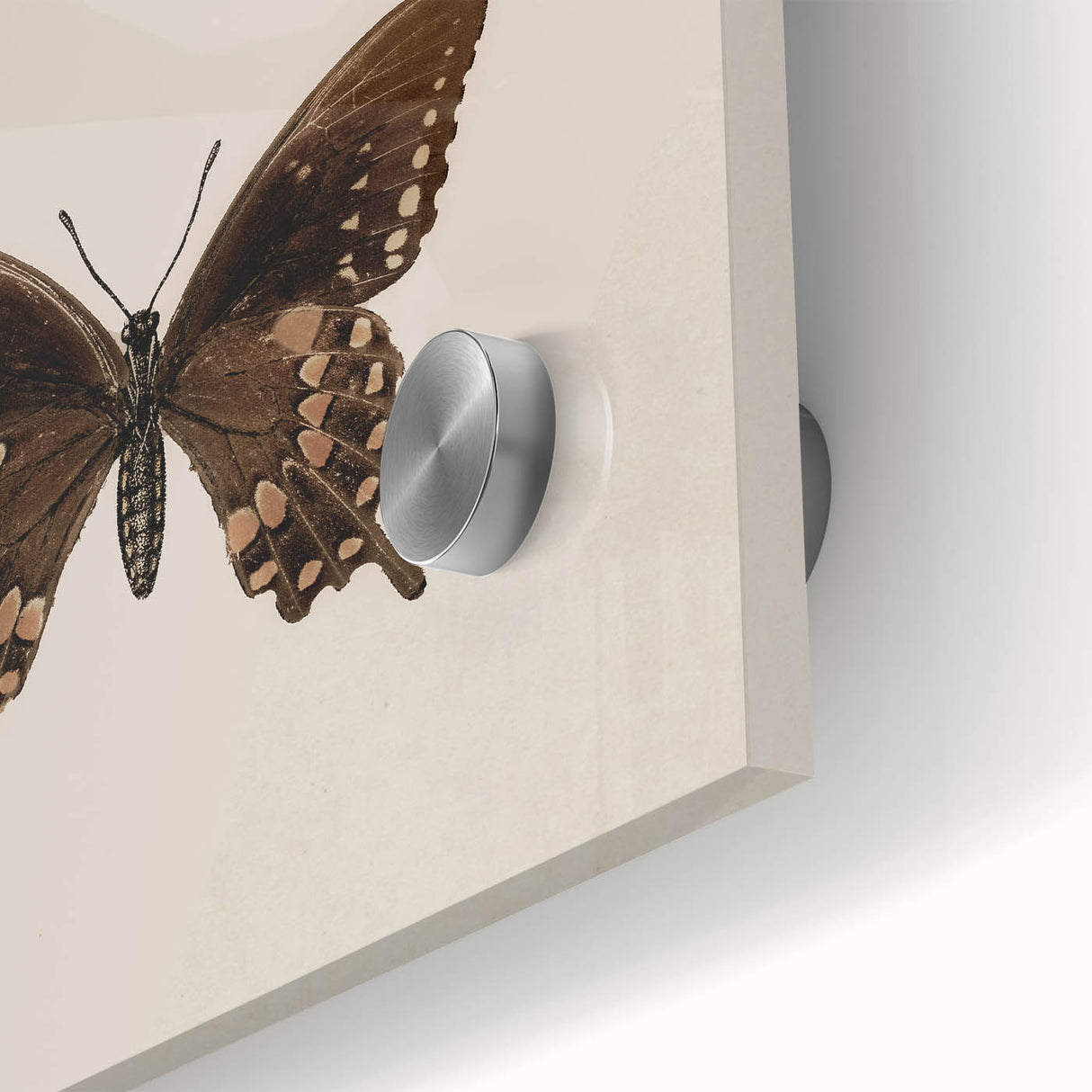 Vintage Grunge Art - Dark Butterfly Grunge Canvas Print - Urban Grunge Art