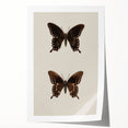 Vintage Grunge Art - Dark Butterfly Grunge Canvas Print - Urban Grunge Art