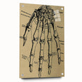 Grunge Wall Art - Vintage Anatomical Hand Illustration - Grunge Aesthetic Art