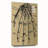 Grunge Wall Art - Vintage Anatomical Hand Illustration - Grunge Aesthetic Art